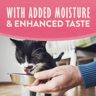 Show full view: Natural Balance Split Cup Salmon & Sweet Potato Recipe Limited Ingredient Soft Pate in Broth Wet Cat Food, 2.6-oz cup, case of 10 slide 6 of 11