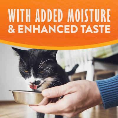 Show full view: Natural Balance Reserve Split Cup Duck & Sweet Potato Recipe Limited Ingredient Soft Pate in Broth Wet Cat Food, 2.6-oz cup, case of 10 slide 6 of 11