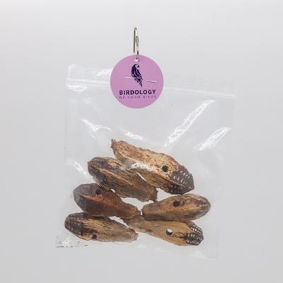 Show full view: Birdology Mohagany Pods Drilled Bird Toy, 6 count slide 3 of 3