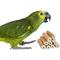 Show in main carousel: Birdology Sola Stick with Skin Bird Toy, 4-in, 10 count slide 2 of 4