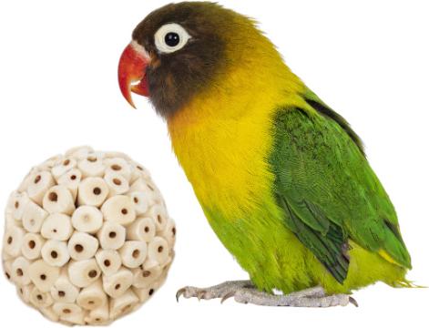 Show full view: Birdology Sola Combo Balls Atta & Crepe, 2.5-in, 4 count slide 2 of 4