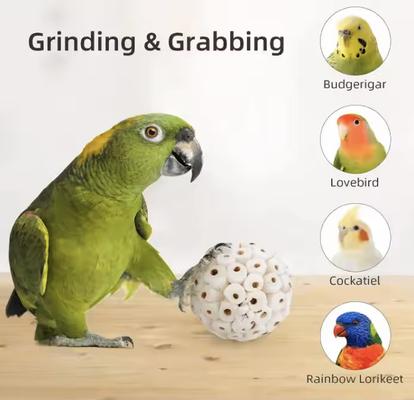 Show full view: Birdology Sola Ball Bird Toy, 6 count, 2.5-in slide 2 of 3