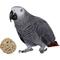 Show in main carousel: Birdology Large Bamboo Ball Bird Toy, 2-in, 4 count slide 2 of 4