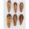 Show in main carousel: Birdology Mohagany Pods Drilled Bird Toy, 6 count slide 1 of 3