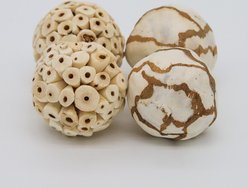 Birdology Sola Atta & Sola Cabbage Bird Toy, 4 count, 2.5-in