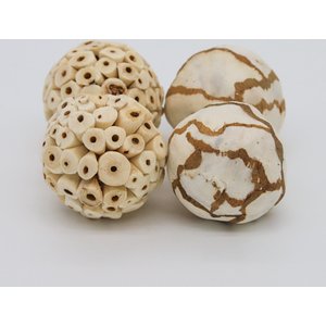 Birdology Sola Atta & Sola Cabbage Bird Toy, 4 count, 2.5-in