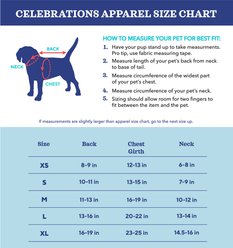 CELEBRATIONS Birthday Tutu Dog Dress, X-Small slide 2 of 4