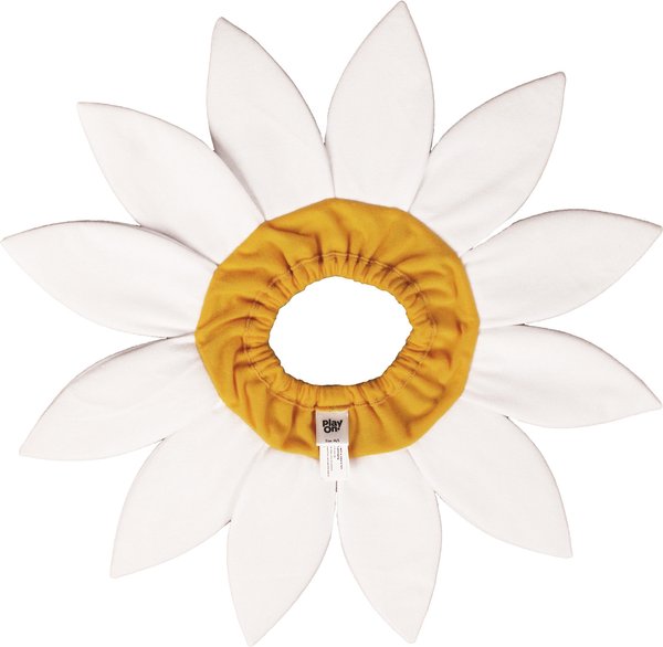 Show full view: CELEBRATIONS Daisy Flower Scrunchie Dog Costume, Medium/Large slide 2 of 4