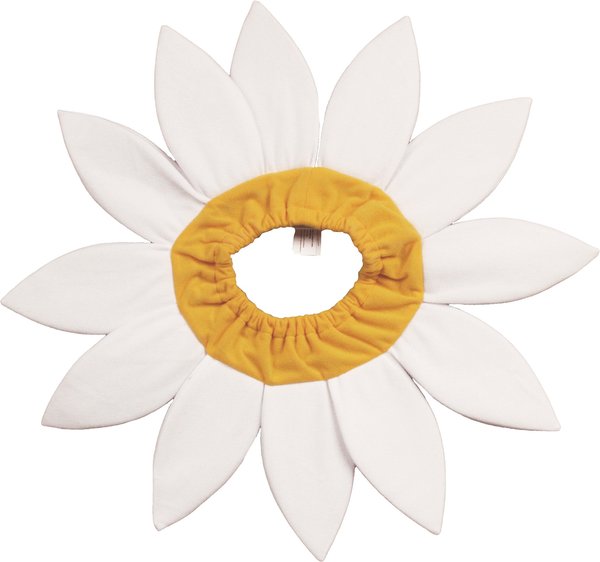 Show full view: CELEBRATIONS Daisy Flower Scrunchie Dog Costume, Medium/Large slide 1 of 4