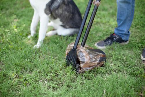 Show full view: Arm & Hammer Swivel Bin & Rake Backyard Waste Pickup slide 4 of 12