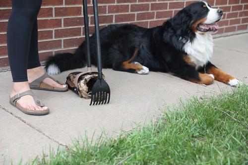 Show full view: Arm & Hammer Swivel Bin & Rake Backyard Waste Pickup slide 3 of 12