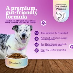 Bundle x Joy Brave Lamb Recipe Dry Dog Food, 18-lb bag slide 2 of 7