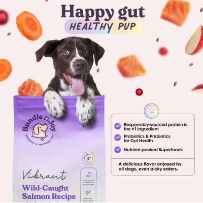 Show full view: Bundle x Joy Vibrant Salmon Recipe Dry Dog Food, 12-lb bag slide 8 of 9