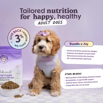 Show full view: Bundle x Joy Vibrant Salmon Recipe Dry Dog Food, 12-lb bag slide 5 of 9