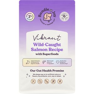 Bundle x Joy Vibrant Salmon Recipe Dry Dog Food, 12-lb bag