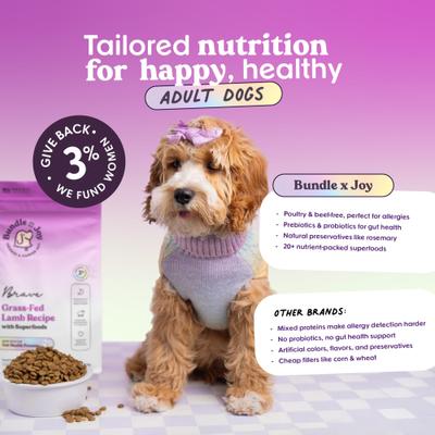 Show full view: Bundle x Joy Brave Lamb Recipe Dry Dog Food, 12-lb bag slide 8 of 9