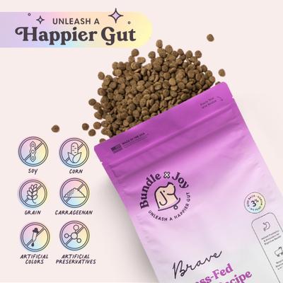 Show full view: Bundle x Joy Brave Lamb Recipe Dry Dog Food, 12-lb bag slide 6 of 9