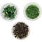 Show in main carousel: AquaZen Aquarium Live Plants, Package D: Micranthem Sp, Staurogyne Repens, Alternanthera Rosaefolia, Green / Red, 3 TC cups slide 1 of 1