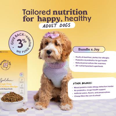 Show full view: Bundle x Joy Golden Chicken Recipe Dry Dog Food, 4-lb bag slide 8 of 9