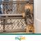 Show in main carousel: MyPet Paws Portable Dog Gate slide 8 of 9