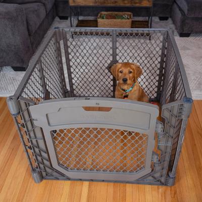 Show full view: MyPet Petyard Plus 4-Panel Dog Exercise Pen slide 3 of 10
