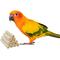 Show in main carousel: Birdology Sola Stick Bird Toy Combo Pack, 10 count slide 4 of 5