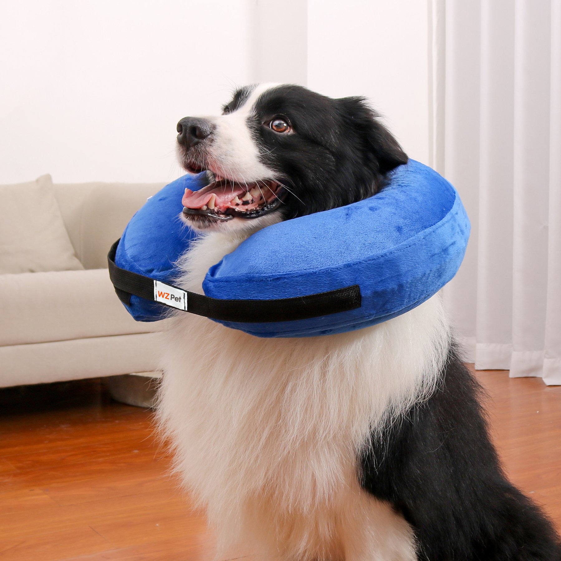 WZ PET Soft Plush Dog & Cat Inflatable Recovery Cone E-Collar, Blue, Large