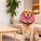 Show in main carousel: WZ PET Soft Plush Dog & Cat Inflatable Recovery Cone Collar, Pink, Large slide 1 of 7