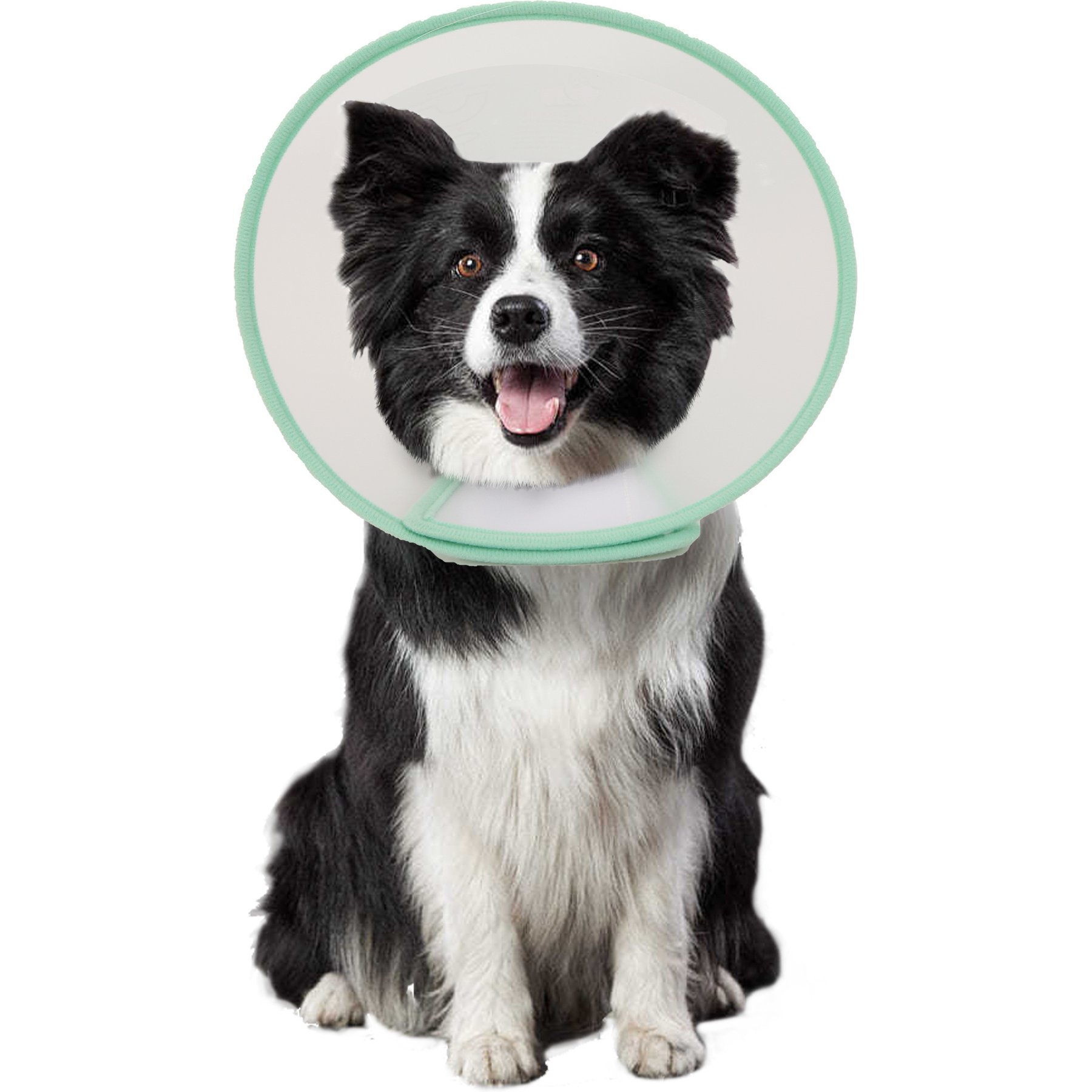 WZ PET Adjustable Recovery Cone Elizabethan Collar for Dogs & Cats, Green, Large