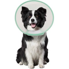 WZ PET Adjustable Recovery Cone Elizabethan Collar for Dogs & Cats, Green, Large