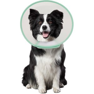 WZ PET Adjustable Dog & Cat Recovery Cone Collar, Green, Large