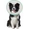 Show in main carousel: WZ PET Adjustable Dog & Cat Recovery Cone Collar, Green, Large slide 1 of 8