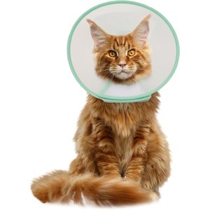 WZ PET Adjustable Dog & Cat Recovery Cone Collar, Green, Small