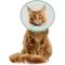 Show in main carousel: WZ PET Adjustable Dog & Cat Recovery Cone Collar, Green, Small slide 1 of 8