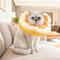 Show in main carousel: WZ PET Orange Dog & Cat Soft Cone Recovery Collar, Medium slide 1 of 8
