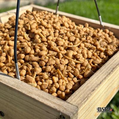 Show full view: Backyard Specialty Pet Foods Hungrybird Energy Complete Mealworm Blend Suet Bites Songbird Food, 48-oz bag slide 5 of 7