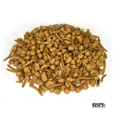 Show full view: Backyard Specialty Pet Foods Hungrybird Energy Complete Mealworm Blend Suet Bites Songbird Food, 48-oz bag slide 2 of 7