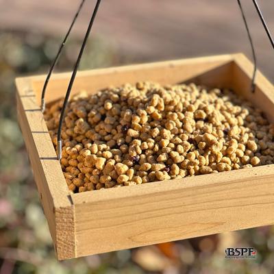 Show full view: Backyard Specialty Pet Foods Hungrybird Energy Complete Blended Berry Suet Bites Songbird Food, 48-oz bag slide 5 of 6