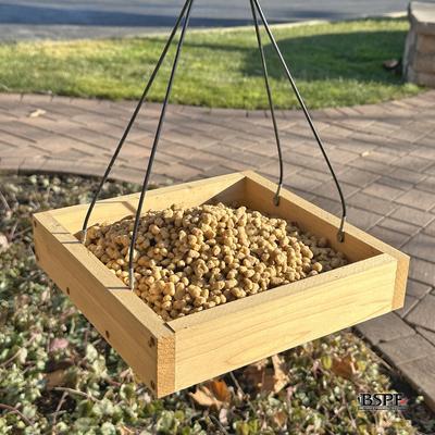 Show full view: Backyard Specialty Pet Foods Hungrybird Energy Complete Peanut Butter Suet Bites Songbird Food, 48-oz bag slide 5 of 6