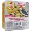 Show in main carousel: Backyard Specialty Pet Foods Hungrybird Energy High Protein Mealworm Peanut Butter Filling No-Melt Suet Cake Songbird Food, 12-oz box slide 1 of 3