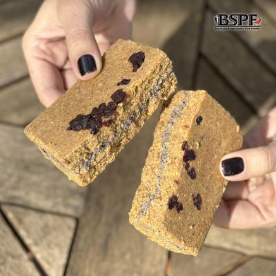 Show full view: Backyard Specialty Pet Foods Hungrybird Energy High Protein Cranberry Filling No-Melt Suet Cake Songbird Food, 12-oz box slide 2 of 5