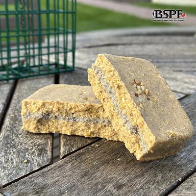 Show full view: Backyard Specialty Pet Foods Hungrybird Energy High Protein Peanut Butter Filling No-Melt Suet Cake Songbird Food, 12-oz box slide 2 of 5