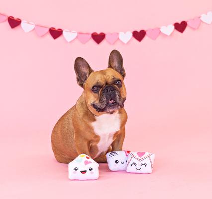 Show full view: Fringe Studio Sealed with a Kiss Plush Dog Toy Set, 3 count slide 3 of 3