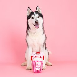 Fringe Studio My Heart Pops for You Plush Dog Toy slide 2 of 3