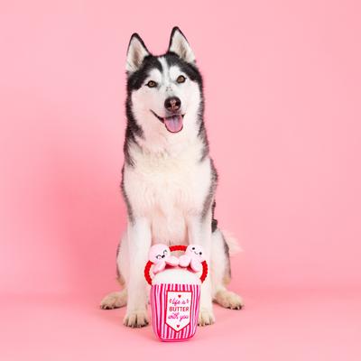 Show full view: Fringe Studio My Heart Pops for You Plush Dog Toy slide 3 of 4