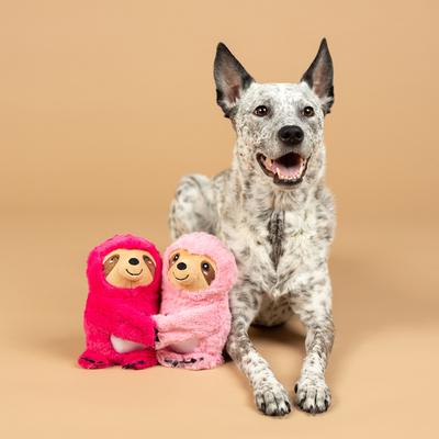 Show full view: Fringe Studio Cuddle Buds Plush Dog Toy, 2 count slide 3 of 3
