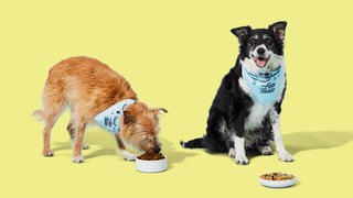 Pickiest of Eaters are Welcome!