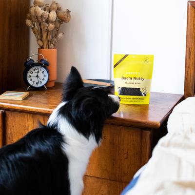 Show full view: Bocce's Bakery Burgers & Fries Beef, Sweet Potatoes & Cheese Dog Treats, 5-oz bag + Bac'n Nutty PB & Bacon Training Bites Dog Treats, 6-oz bag slide 9 of 9