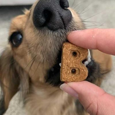 Show full view: Bocce's Bakery Soft & Chewy Peanut Butter & Banana Recipe Dog Treats, 6-oz bag + Cheese Recipe Dog Treats, 6-oz bag slide 9 of 9