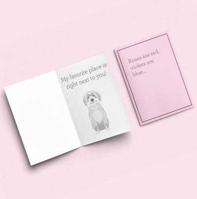 Show full view: Playology Valentine's Box Bundle Red Velvet Scented Chew Dog Toys, Pink, Medium, 2 count slide 5 of 8